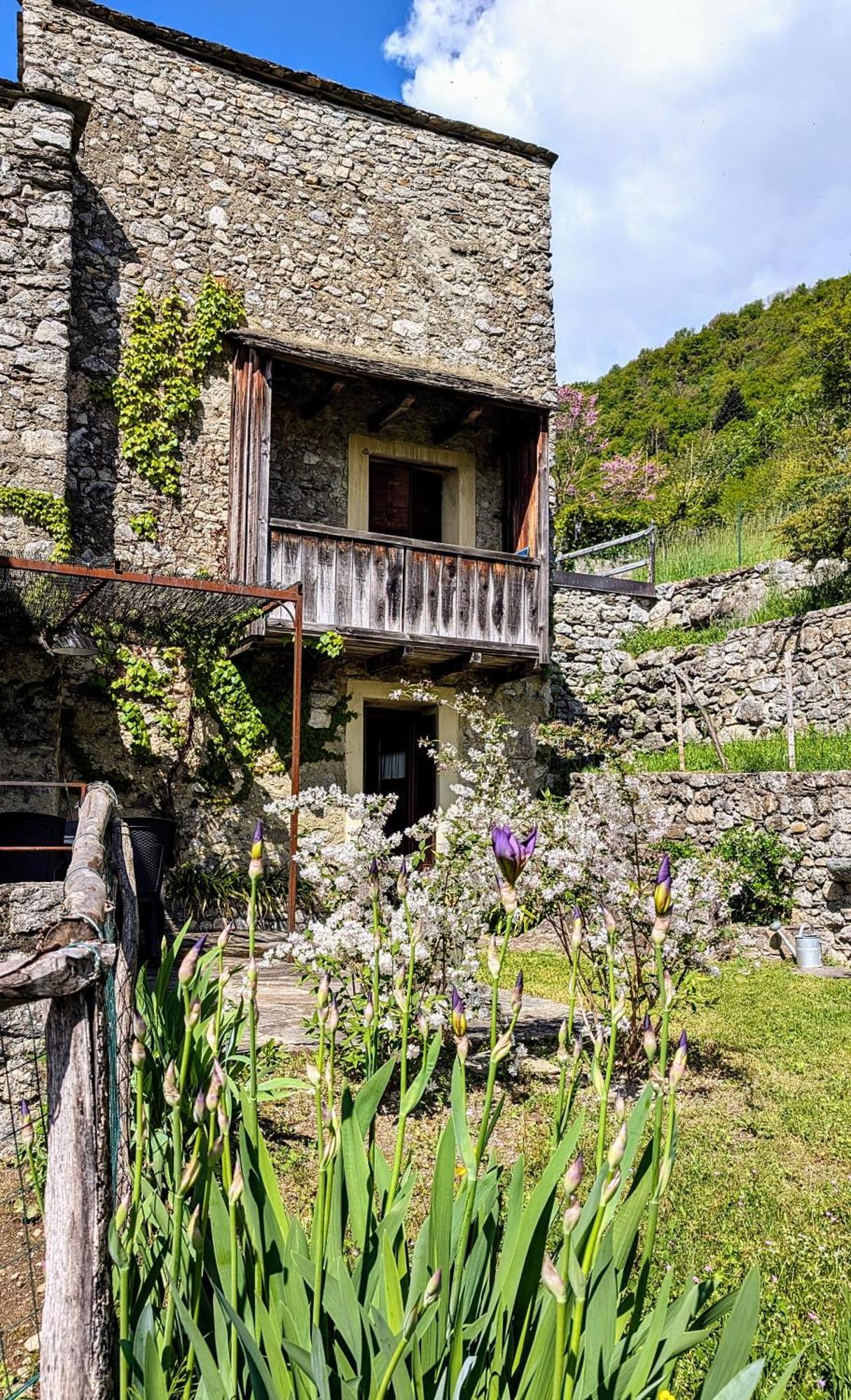 Borgo Selvapiana *