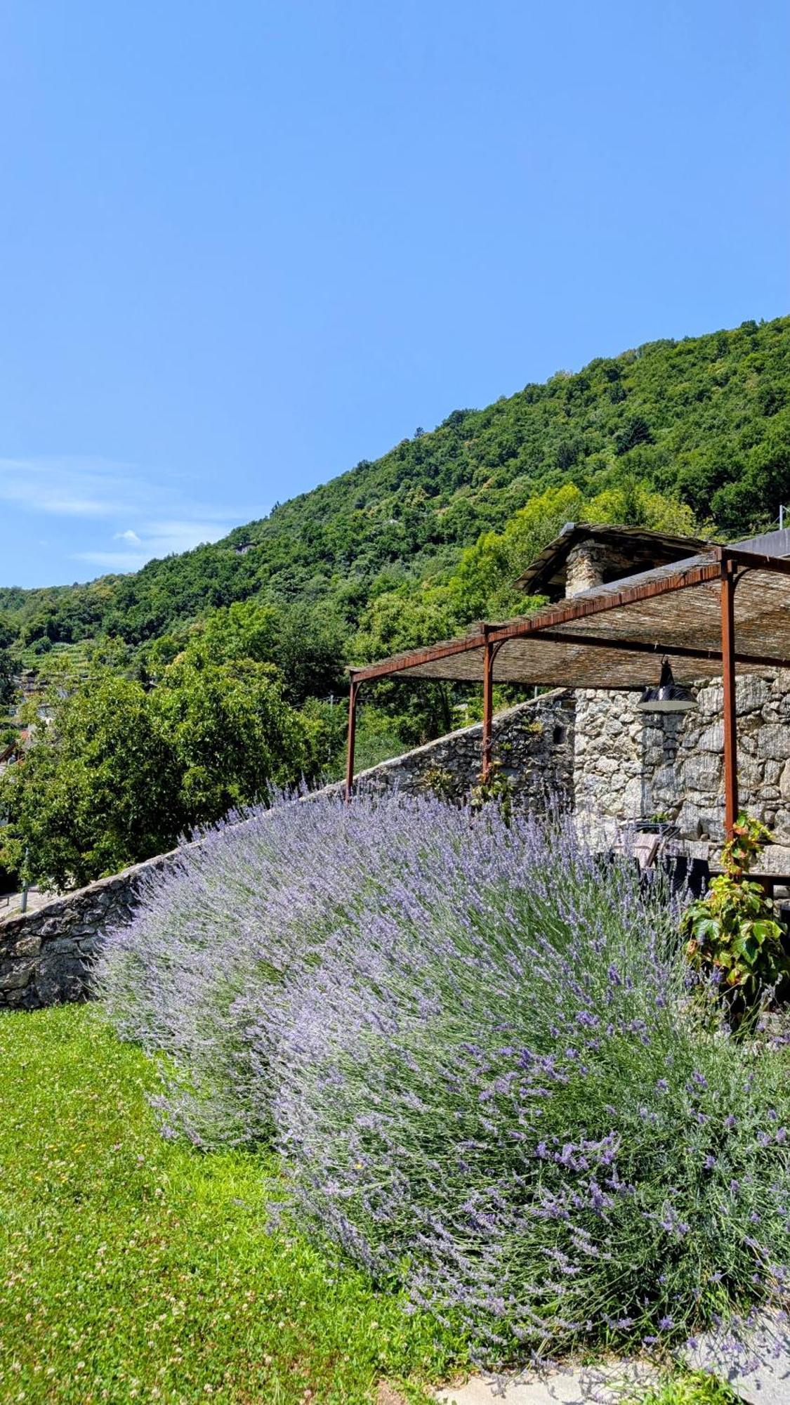 Holiday home Borgo Selvapiana *